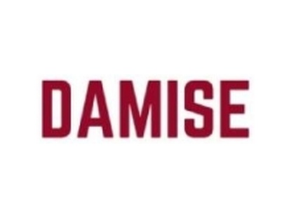 DAMISE